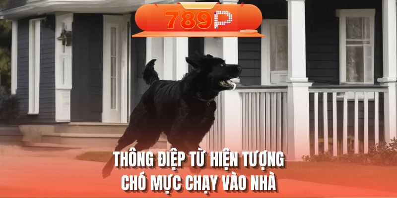 Thông điệp từ hiện tượng chó mực chạy vào nhà